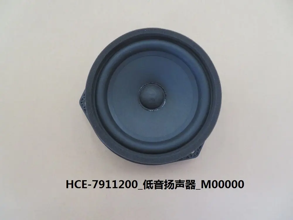بلندگو باس (ووفر) بی وای دی Tang DM-i – 13274861-00