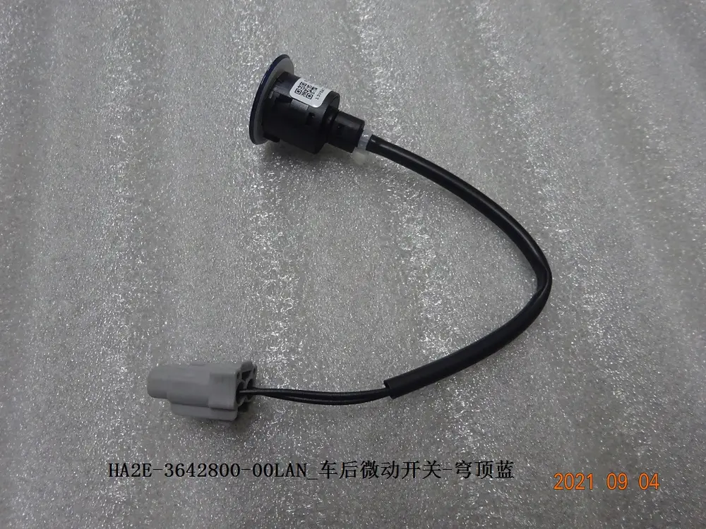 میکروسوئیچ درب صندوق بی وای دی Qin Plus DM-i – 13294359-00