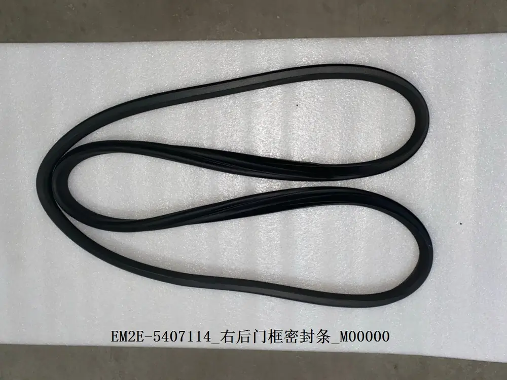لاستیک دور چهارچوب در عقب راست بی وای دی Dolphin EV – 13136564-00